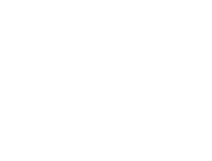 Professionisti Associati S.r.l.  Logo